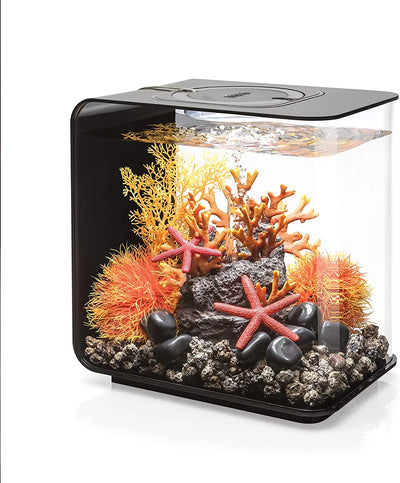 Flow 15 Aquarium with Standard Light - 4 Gallon, Black, Acrylic